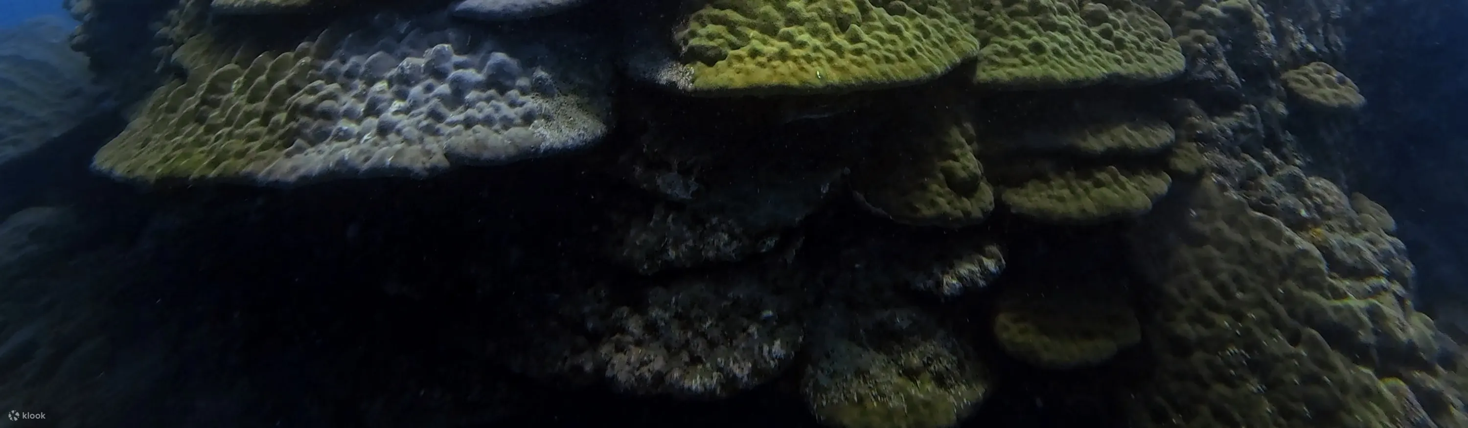 澎湖马公：八个浪潜水船潜体验