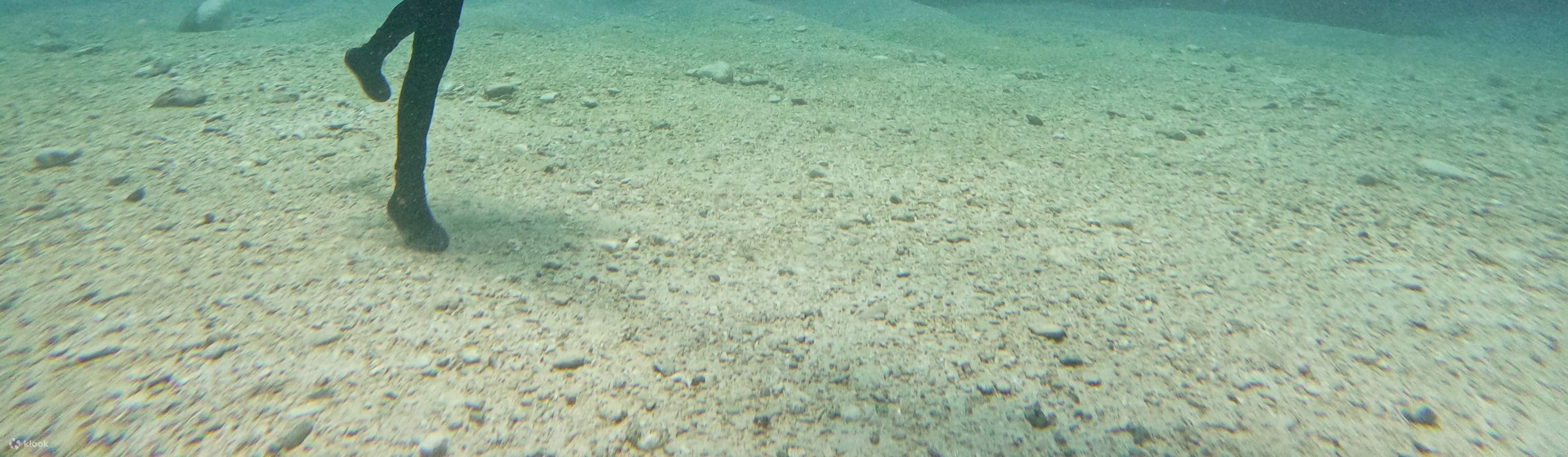 Green Island Huoshao Island Diving PADI OW・AOW・Freediving License