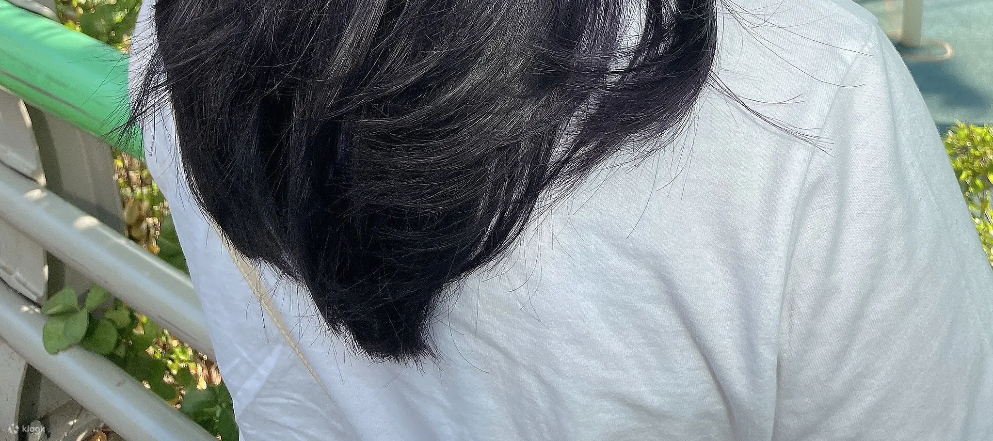 叶铅