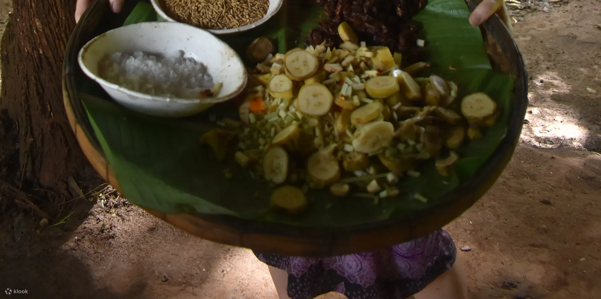 准备制作大象食物