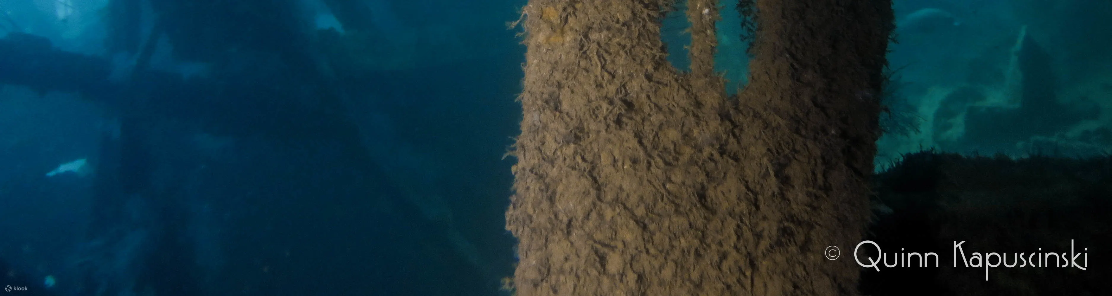 富氧空气（高氧）包括 2 次潜水