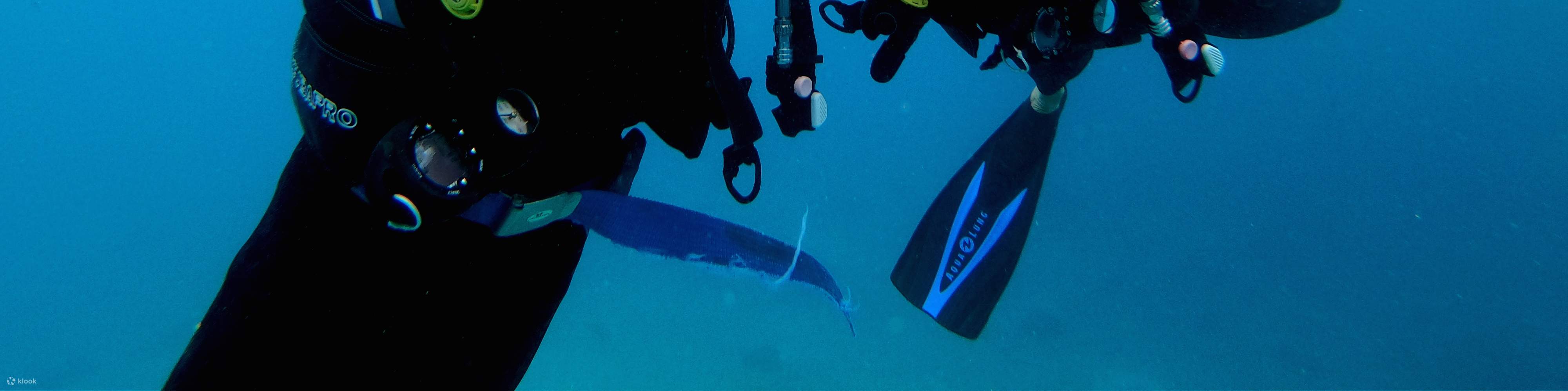 Explore the Depths with Our Premium Guided Dive Trip in Port Douglas