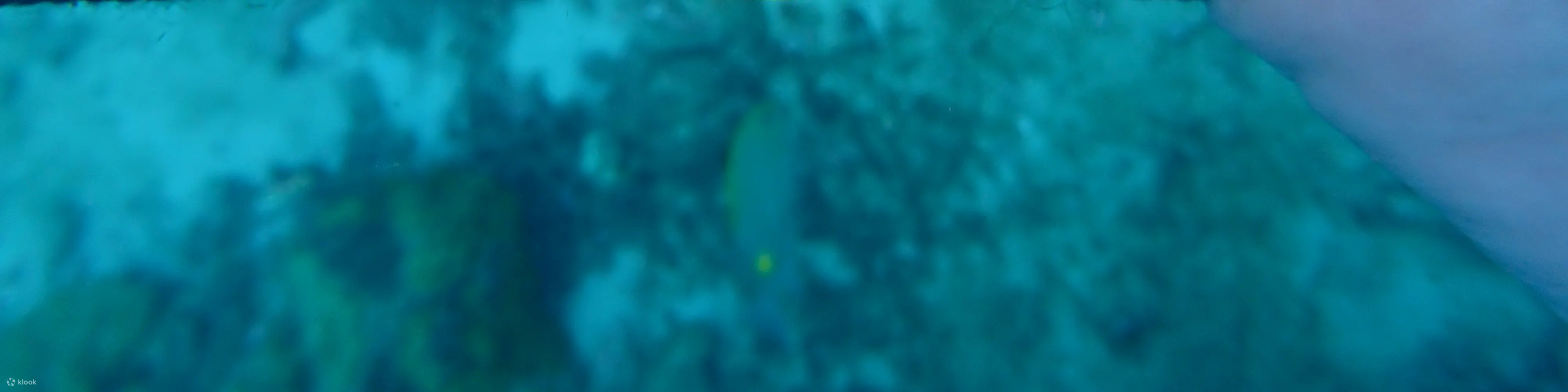 PADI 高氧空气潜水员