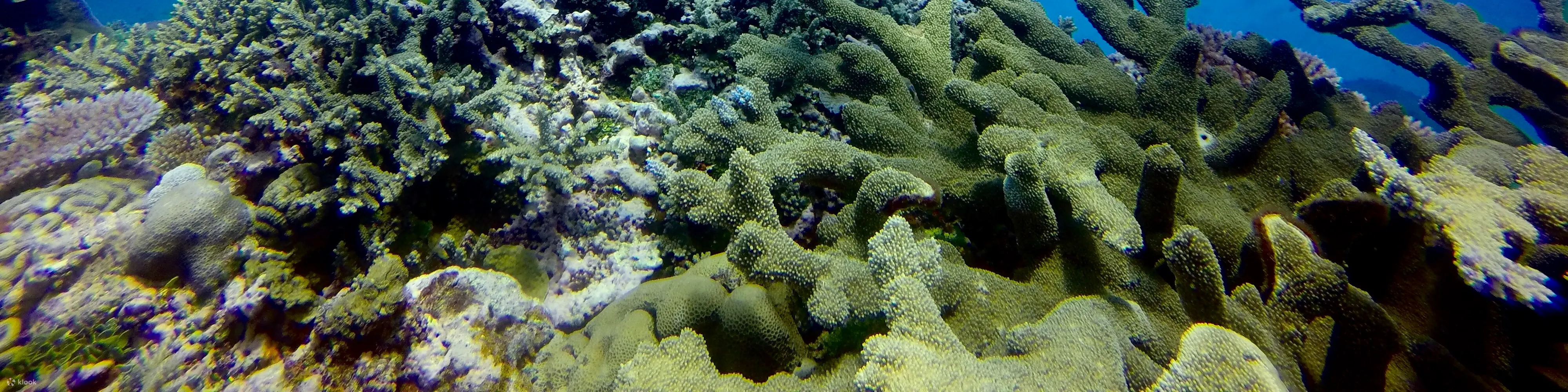 PADI 探索水肺潜水