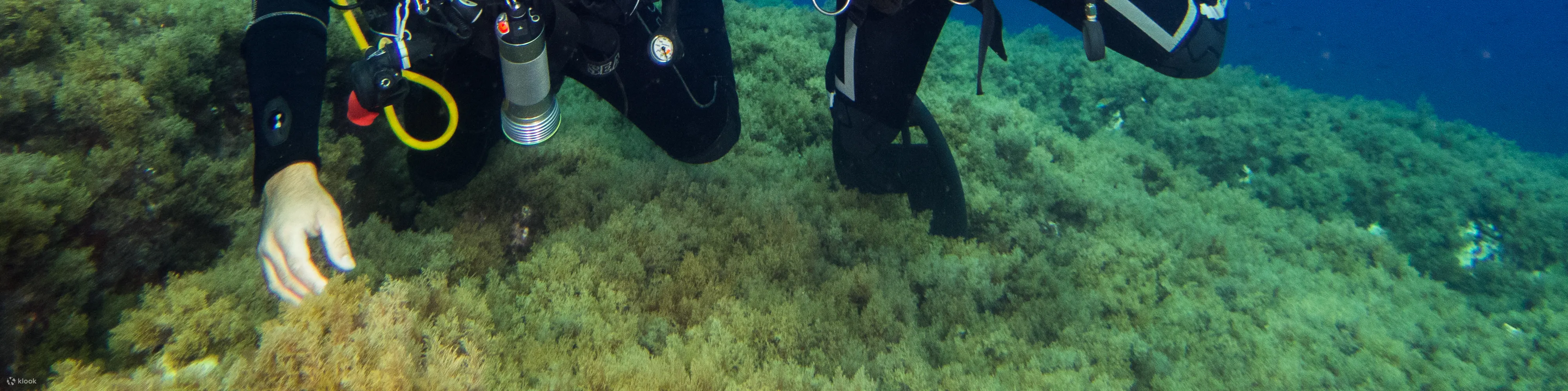 PADI 探索水肺潜水