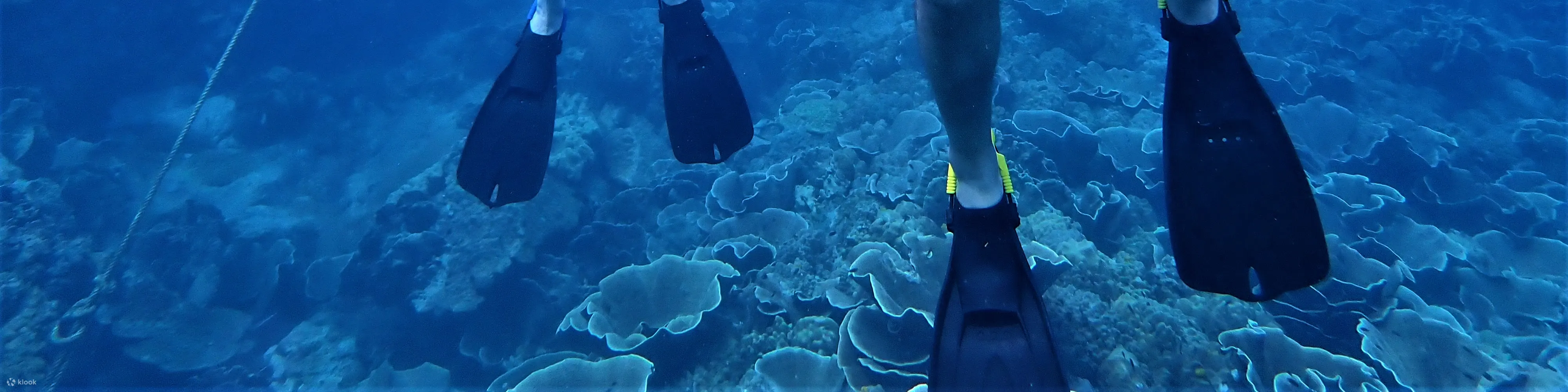 PADI 探索水肺潜水（电子学习）