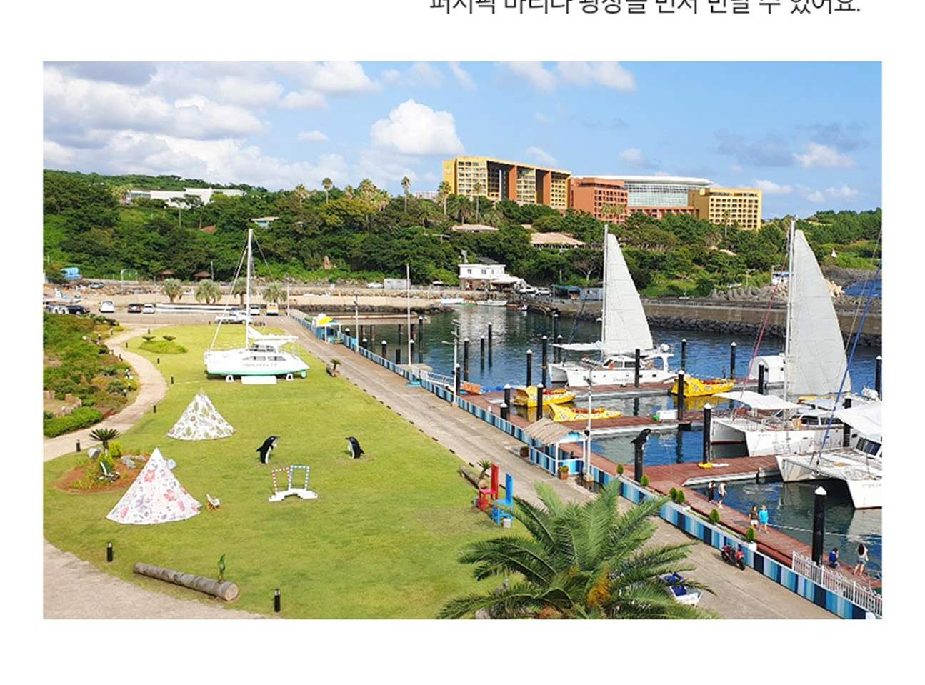 제주 퍼시픽 마리나 요트투어 이용권 - 클룩 Klook 한국