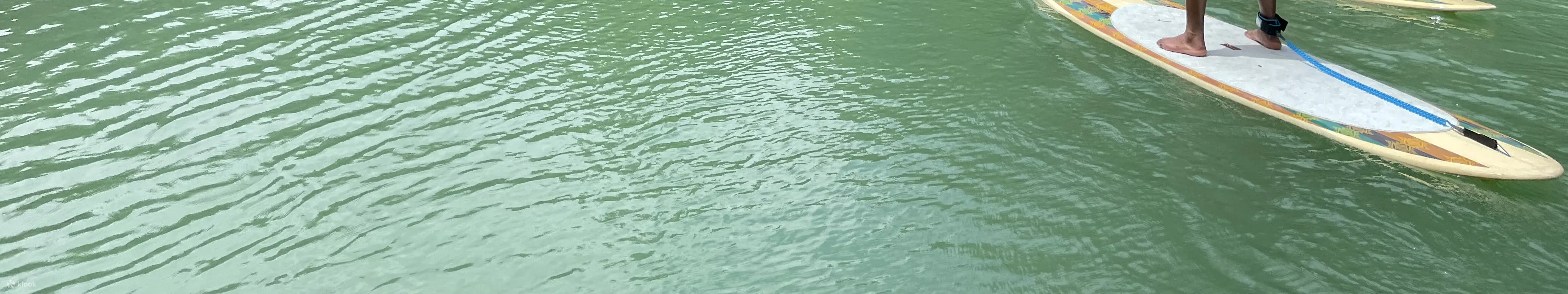 Loboc River Stand Up Paddle Adventure in Bohol