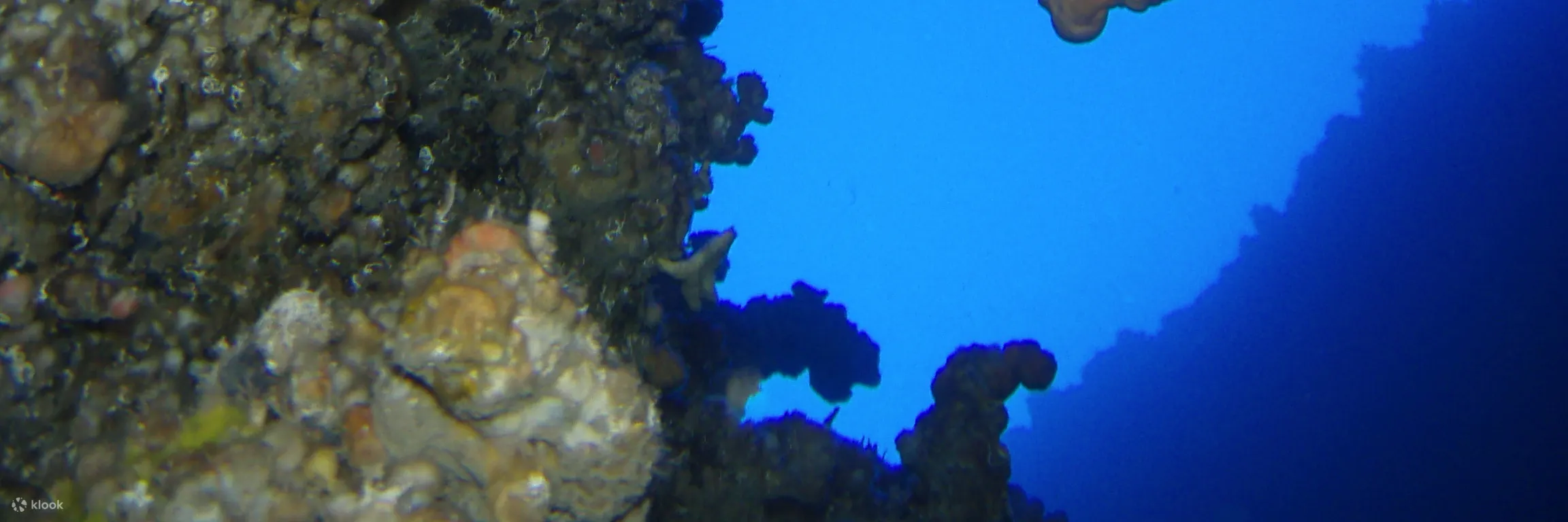 PADI 高氧空气潜水员
