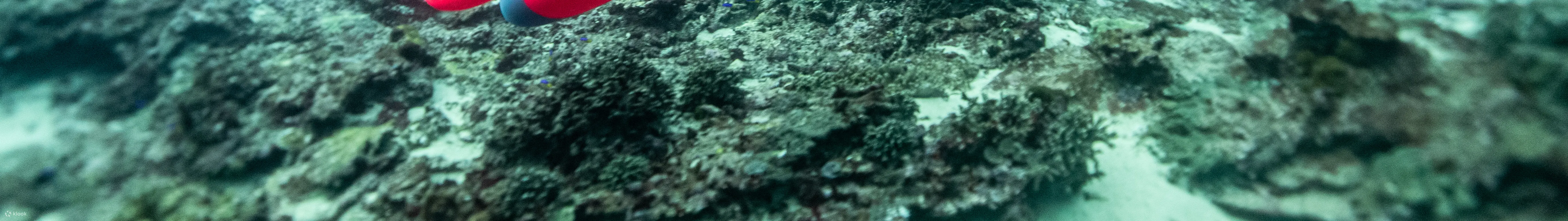 PADI 高级开放水域潜水员
