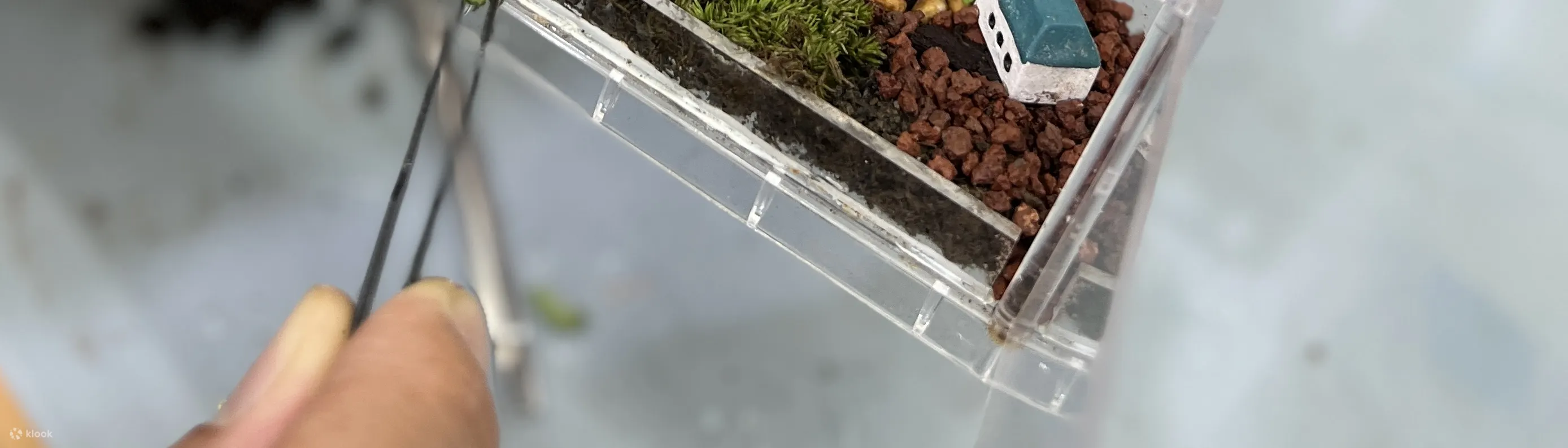 手作班房 - 微景观植物生态工作坊 Mini Terrarium Workshop｜铜锣湾