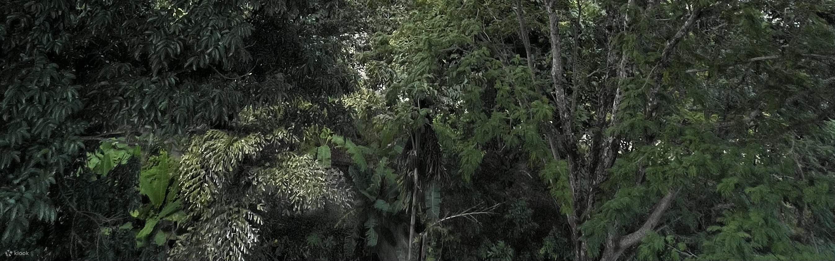 Fall Jump Jungle Xtreme Adventure Zipline and Free Fall Jump Park - Klook Estados ...