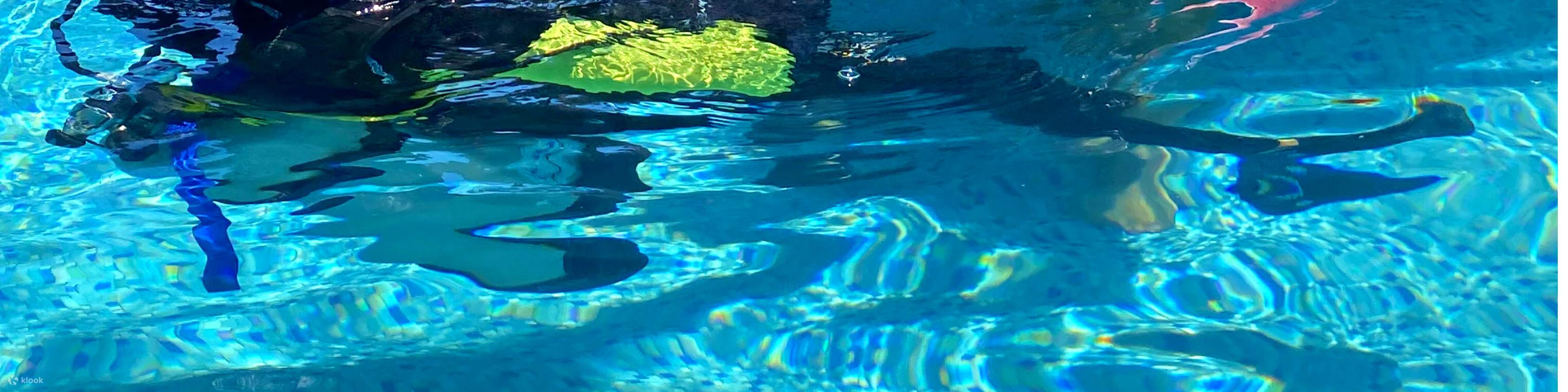 Dive into Adventure: PADI Try Scuba Diving in Puerto Galera with a PADI Dive into Adventure: PADI Try Scuba Diving in Puerto Galera with a PADI