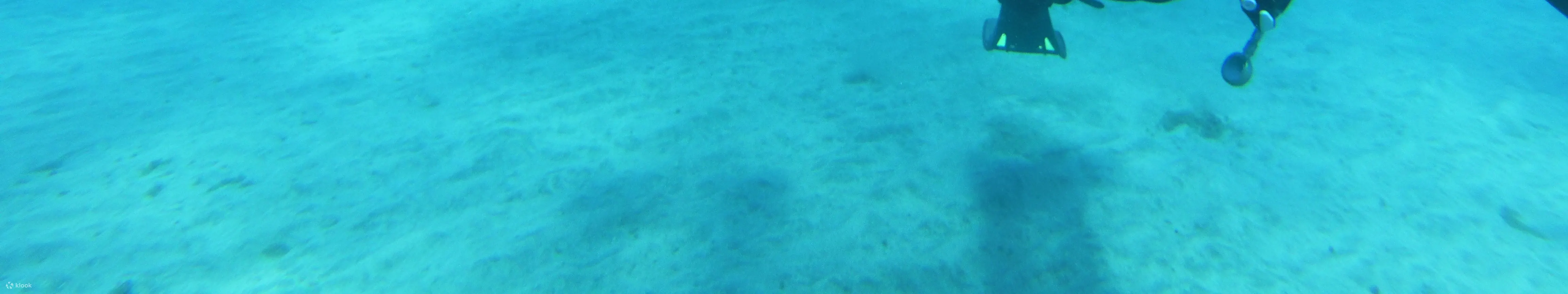 PADI 体验水肺潜水