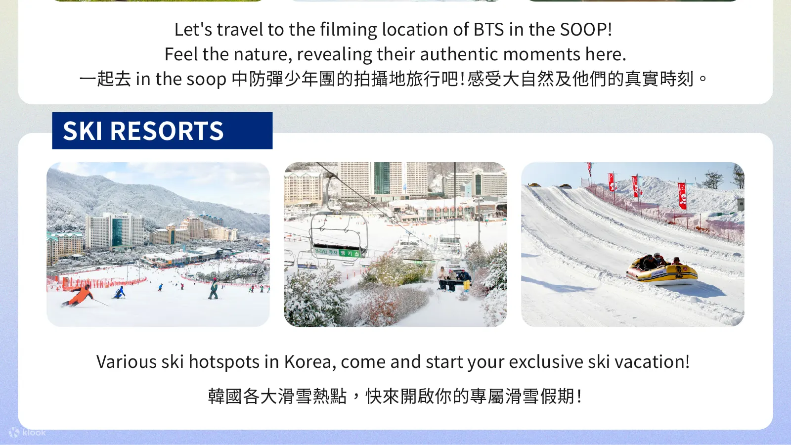 首尔（Seoul）带司机包车前往南怡岛 / 羊驼世界 / 束草 / 江陵 K-drama 旅行