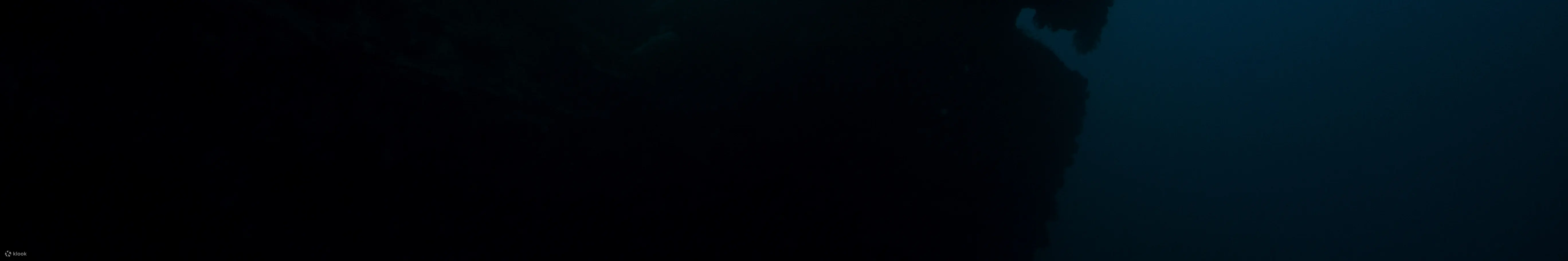 在 USAT Liberty Wreck Tulamben 进行 2 次潜水