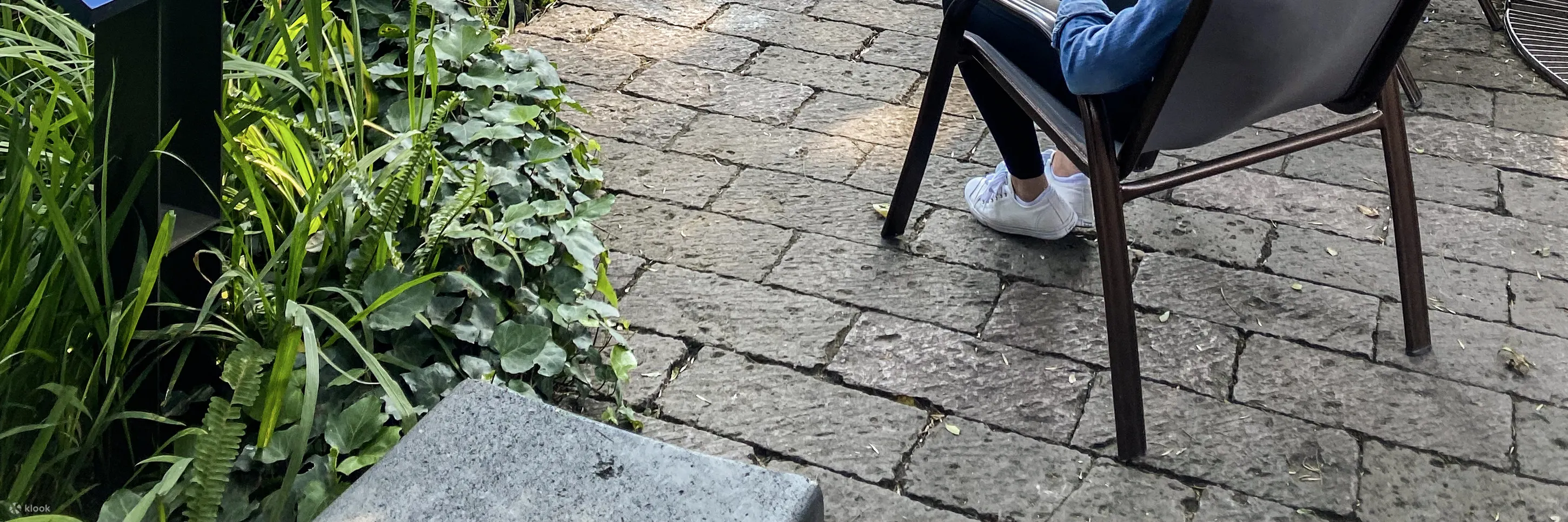 弗里达卡罗博物馆门票