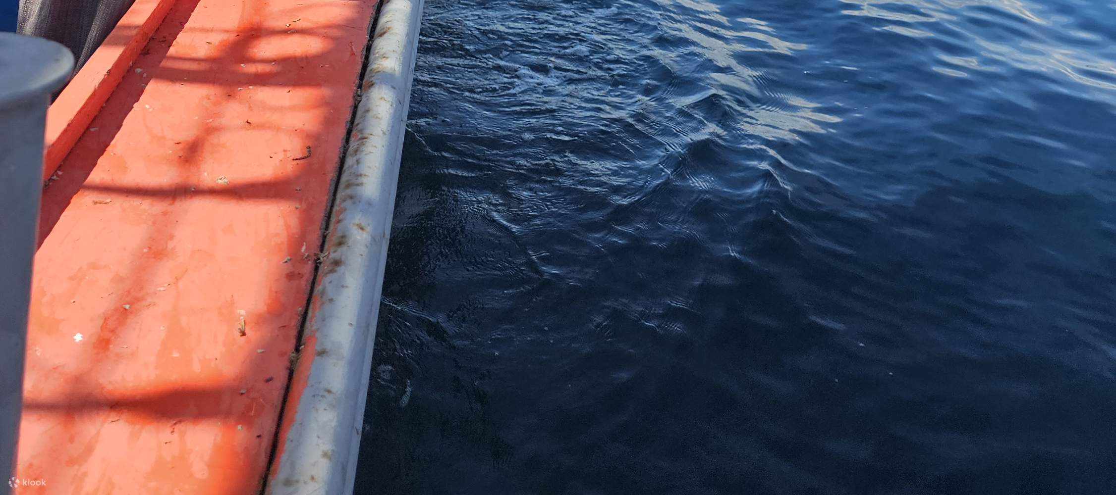 济州海上钓鱼之旅（含午餐）