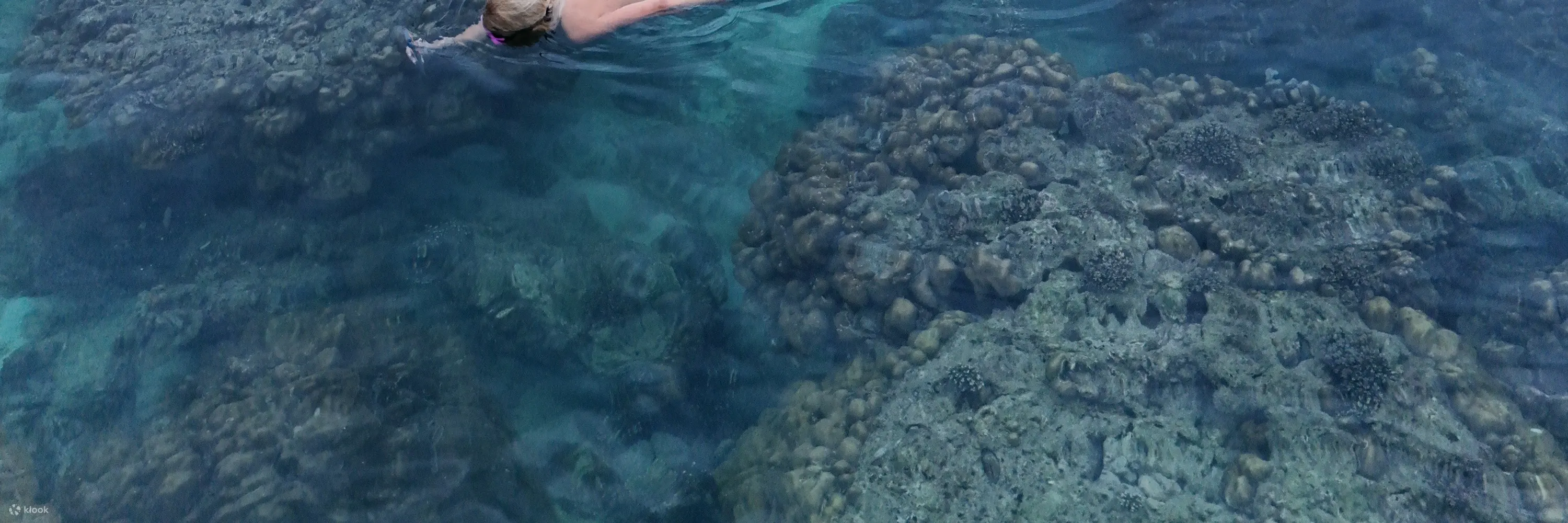 4 岛浮潜日落之旅 + 生物发光夜泳。
