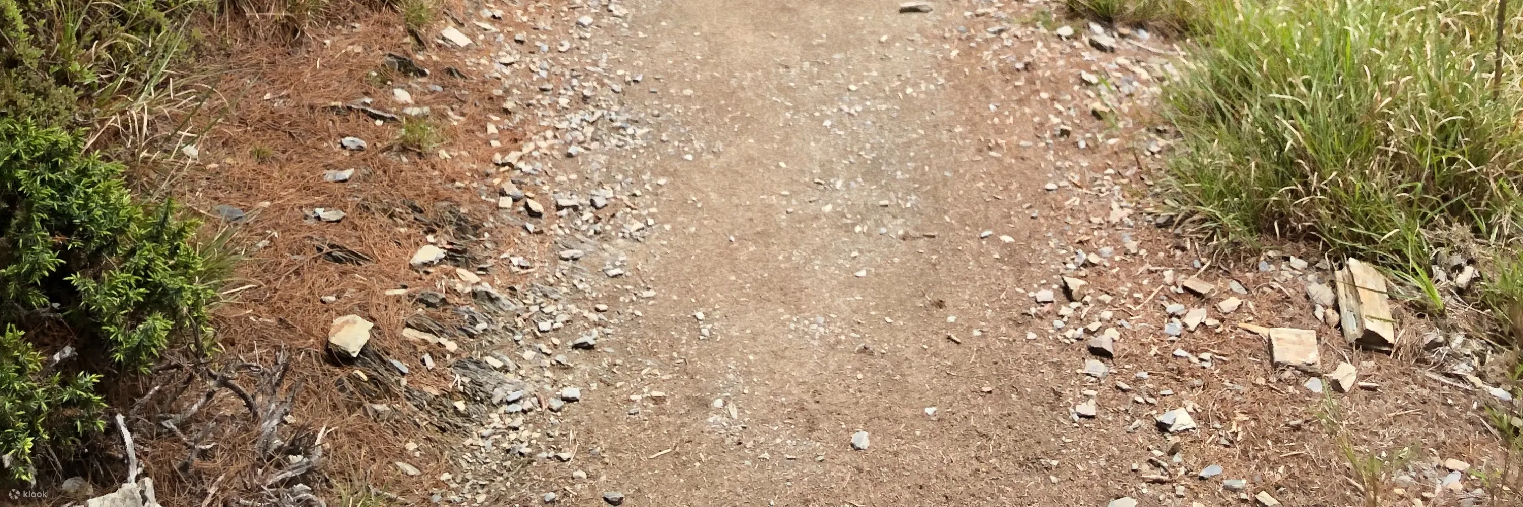 登山包车接驳: 奇莱南华登山口 (台北/新竹/台中出发)