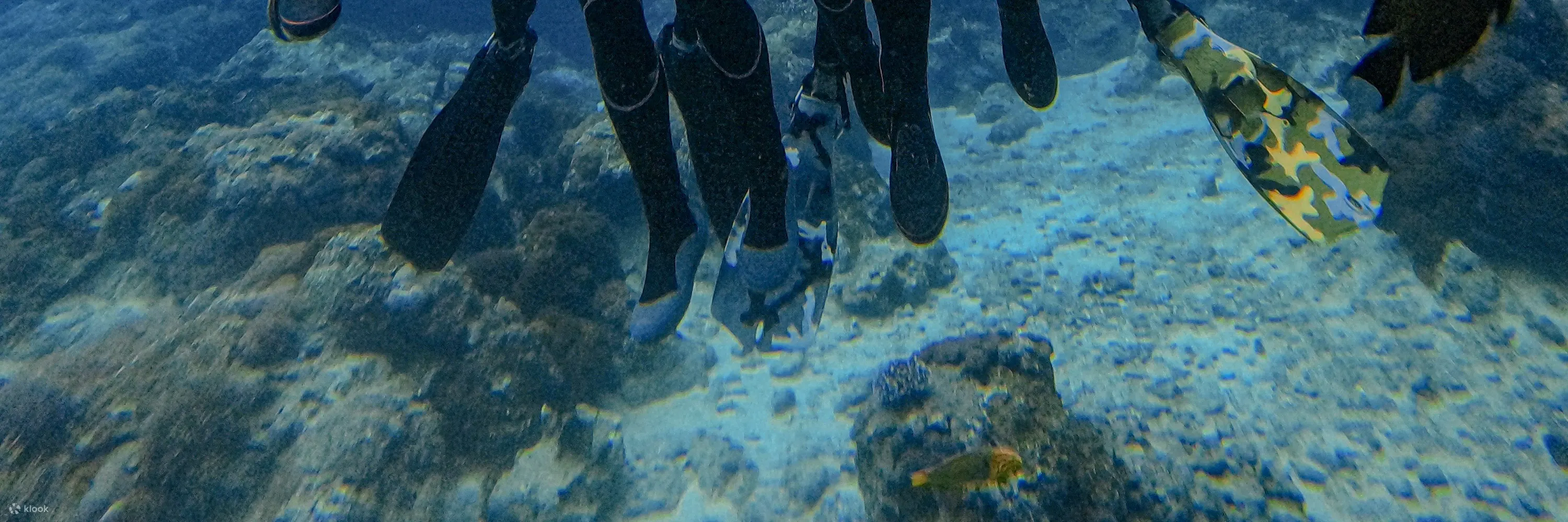 绿岛海湾潜水
