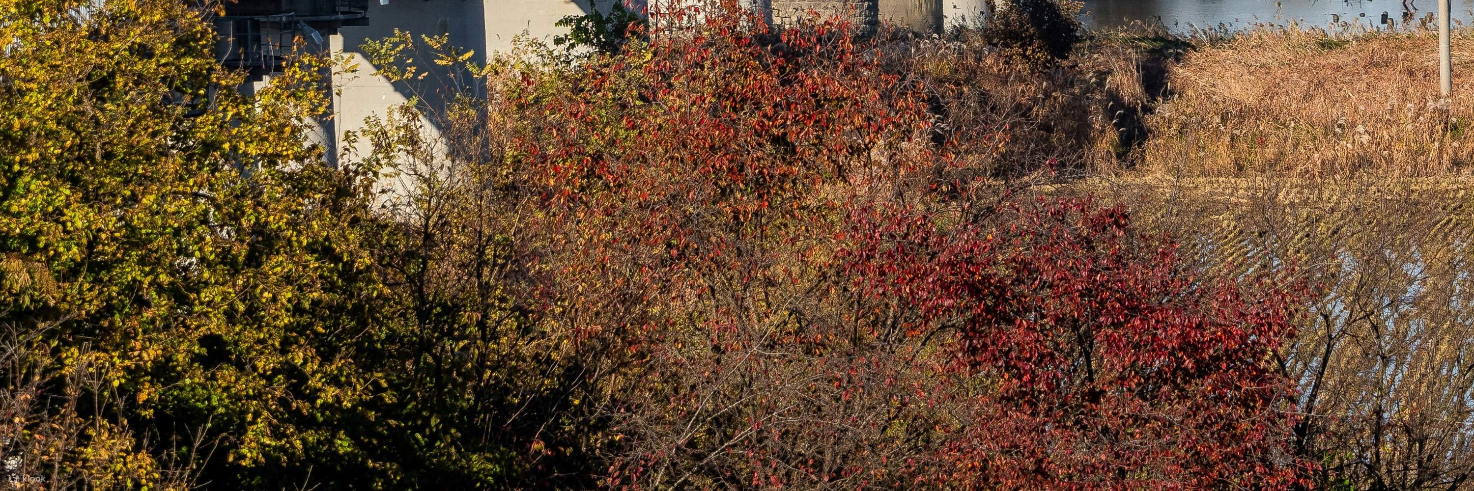 Seoul Private Car Rental with Driver Klook Singapore