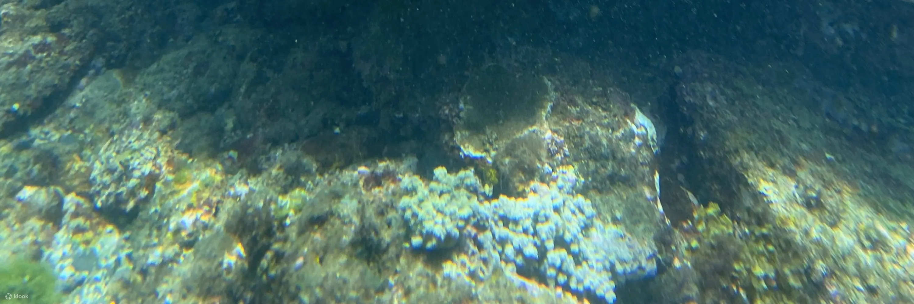 新北贡寮: 澳底金银岛 - 海岛舟记 - SUP / 独木舟 / 浮潜 / 单眼摄影