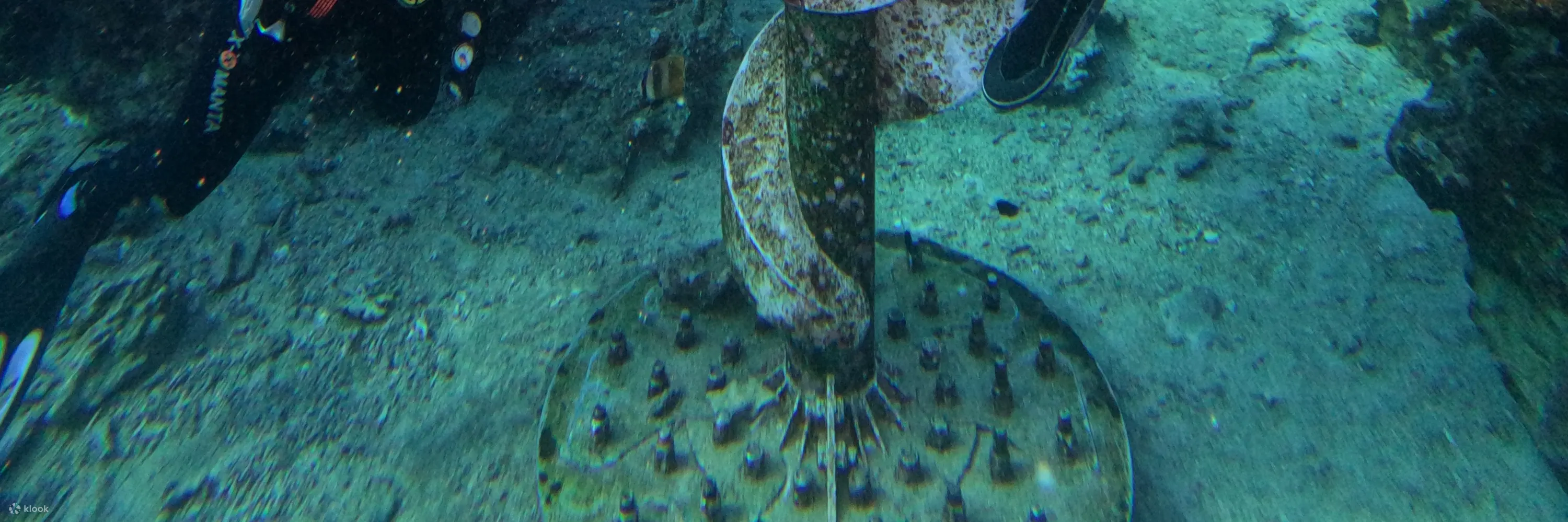 绿岛海湾潜水
