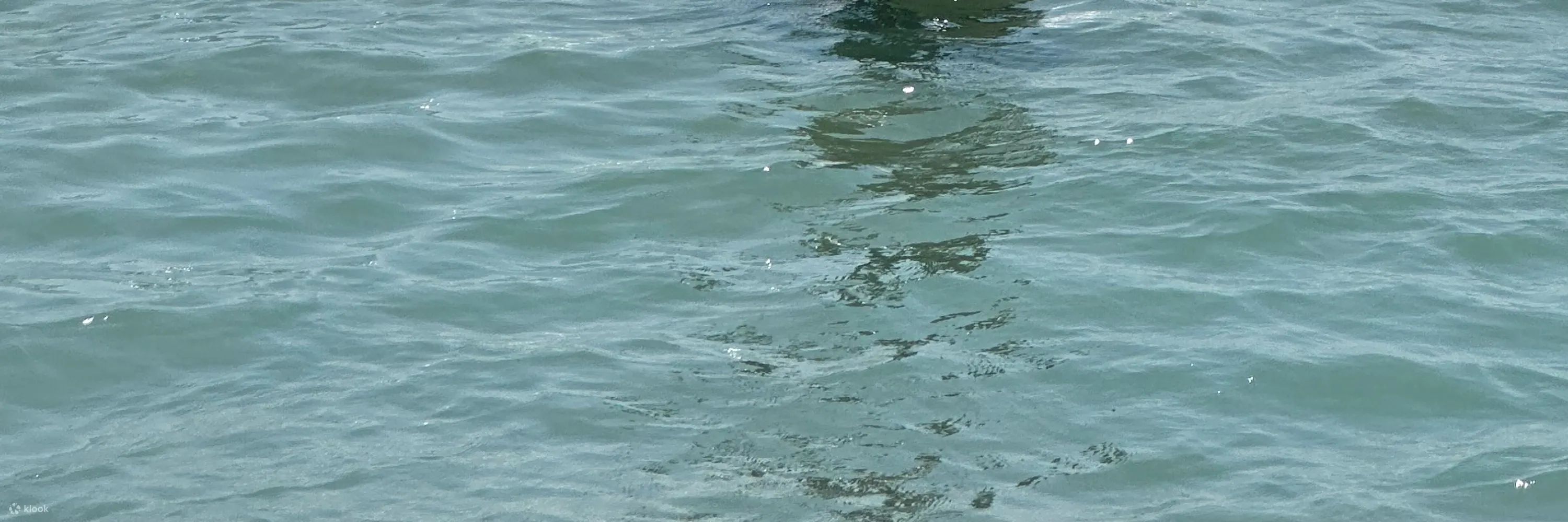 釜山松汀冲浪狂冲浪课程