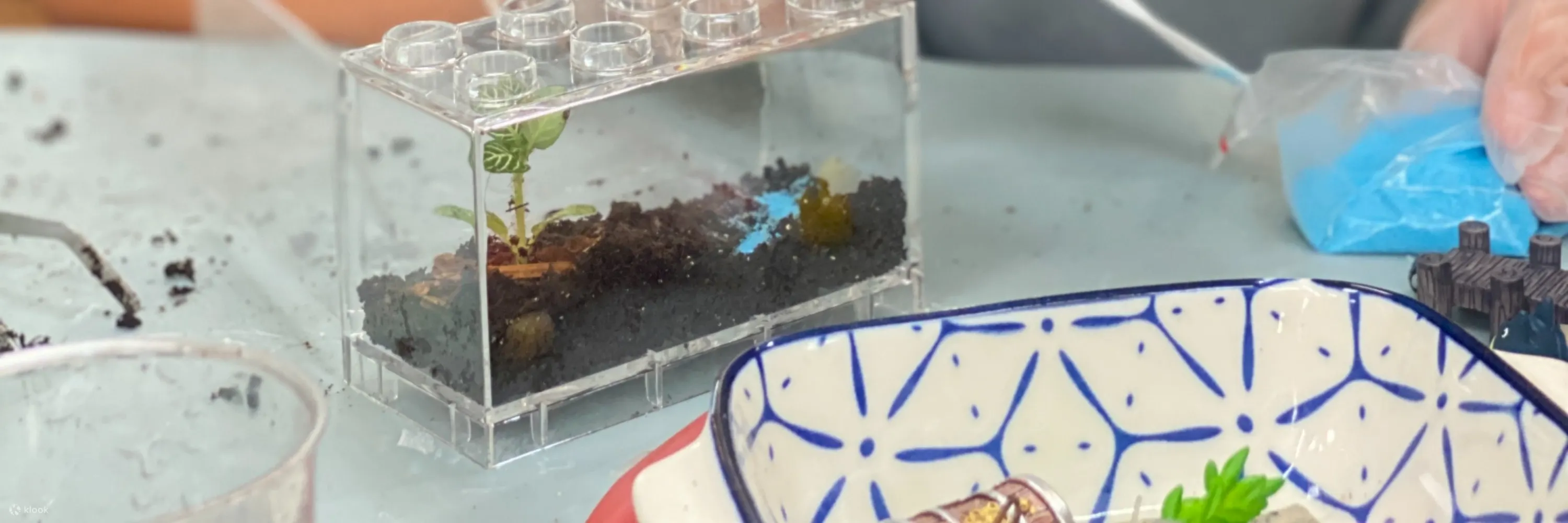 手作班房 - 微景观植物生态工作坊 Mini Terrarium Workshop｜铜锣湾