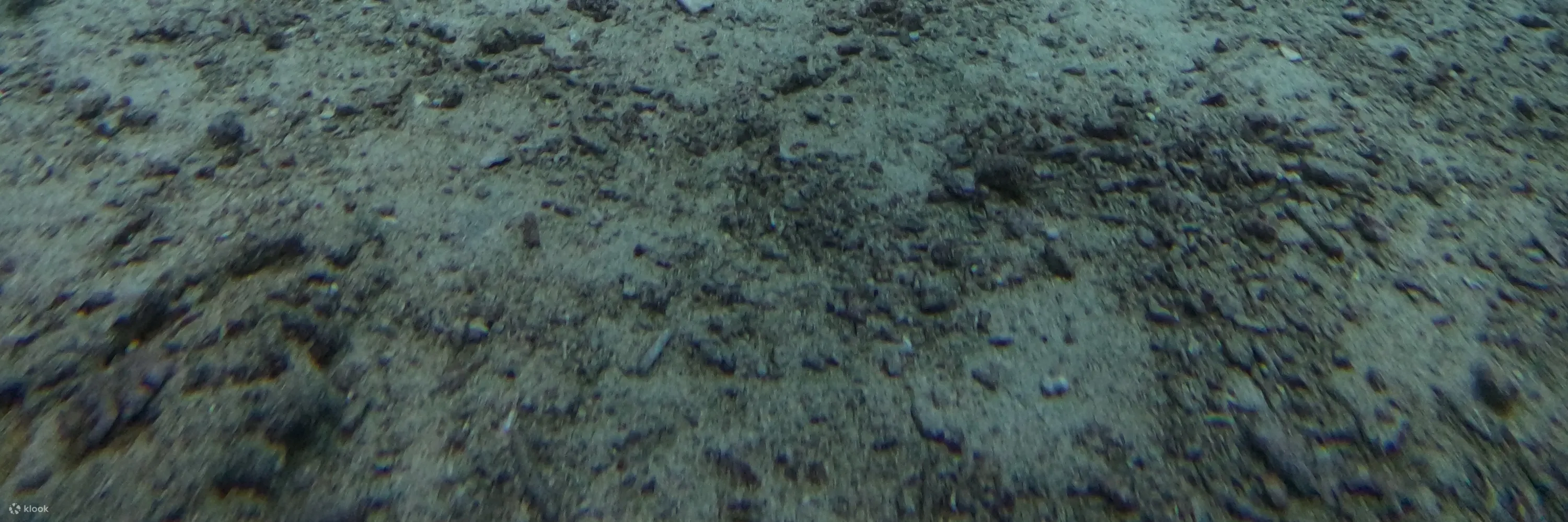 享受无重力的海底世界