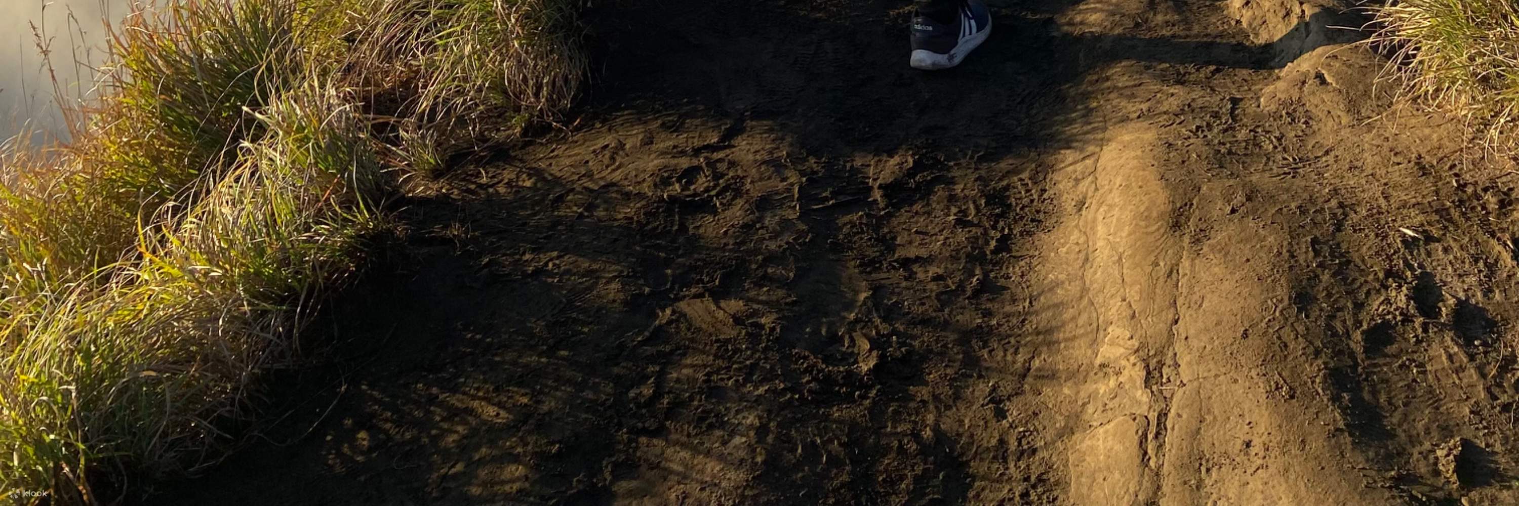 Ubud Cafes, Mount Batur, and Tegallalang Rice Terrace Private Day Trip