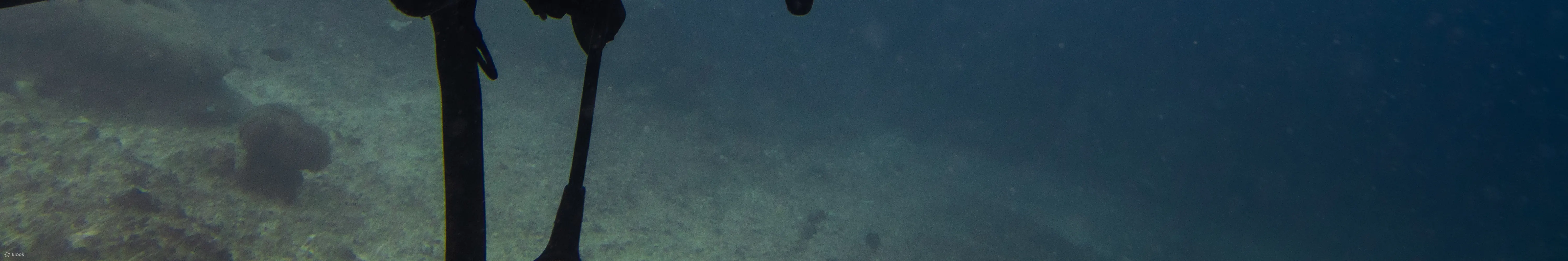 PADI 进阶开放水域潜水员 (Padangbai 和 Tulamben)