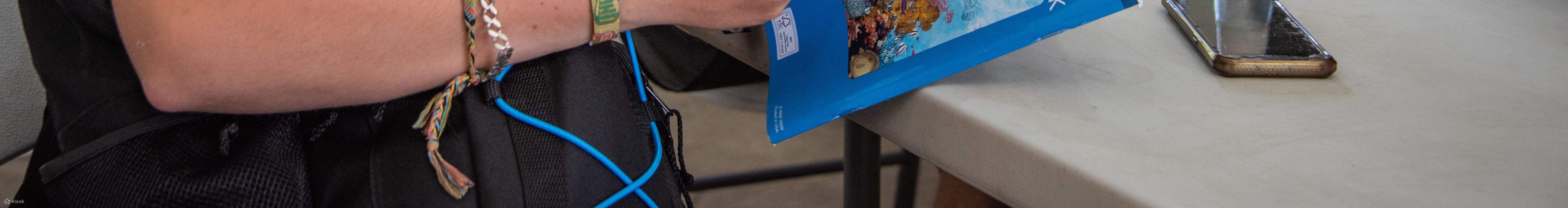 Dive into the depths with PADI Enriched Air Diver - Nitrox in Negros at ...