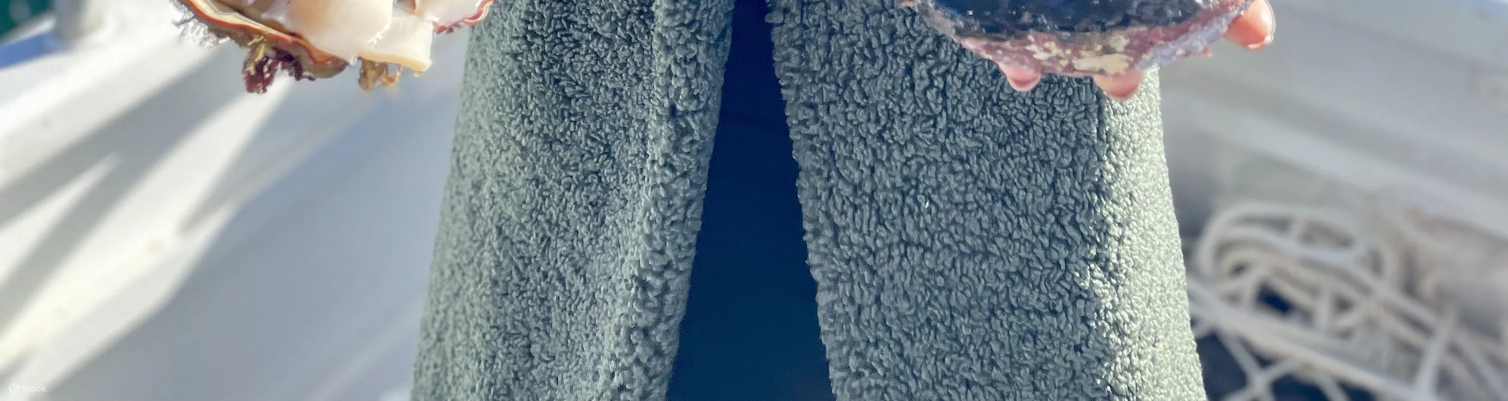 海鲜