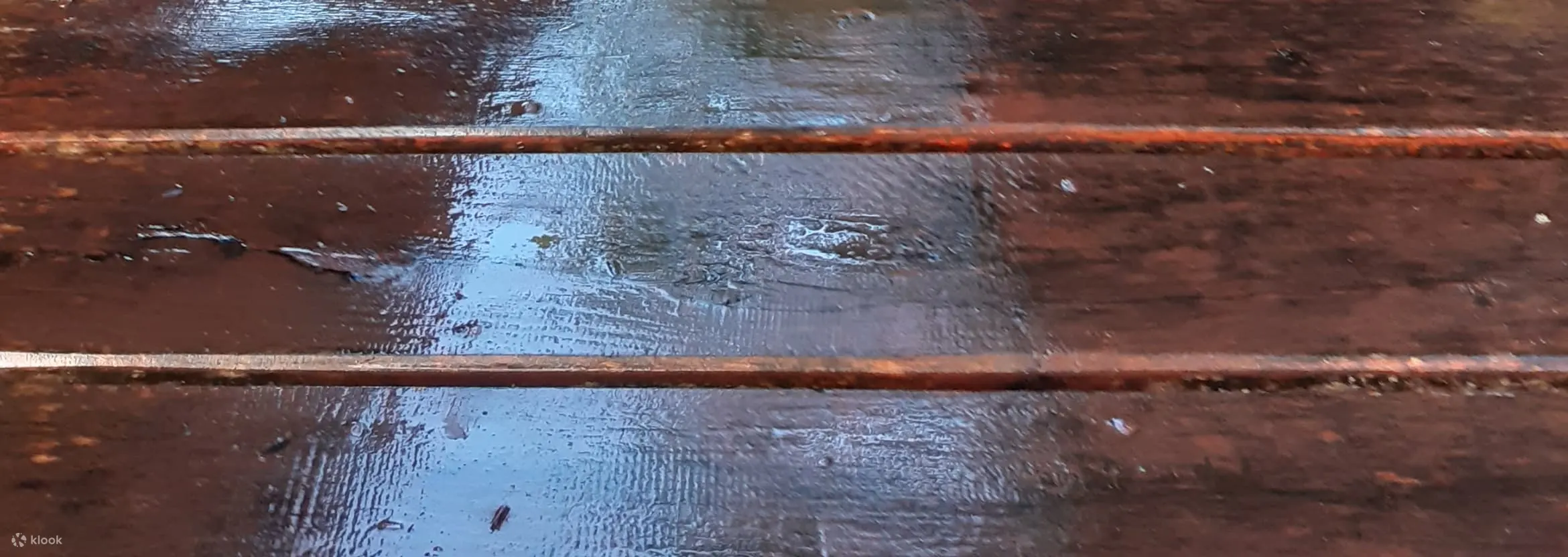 雨后清爽的Spa步道