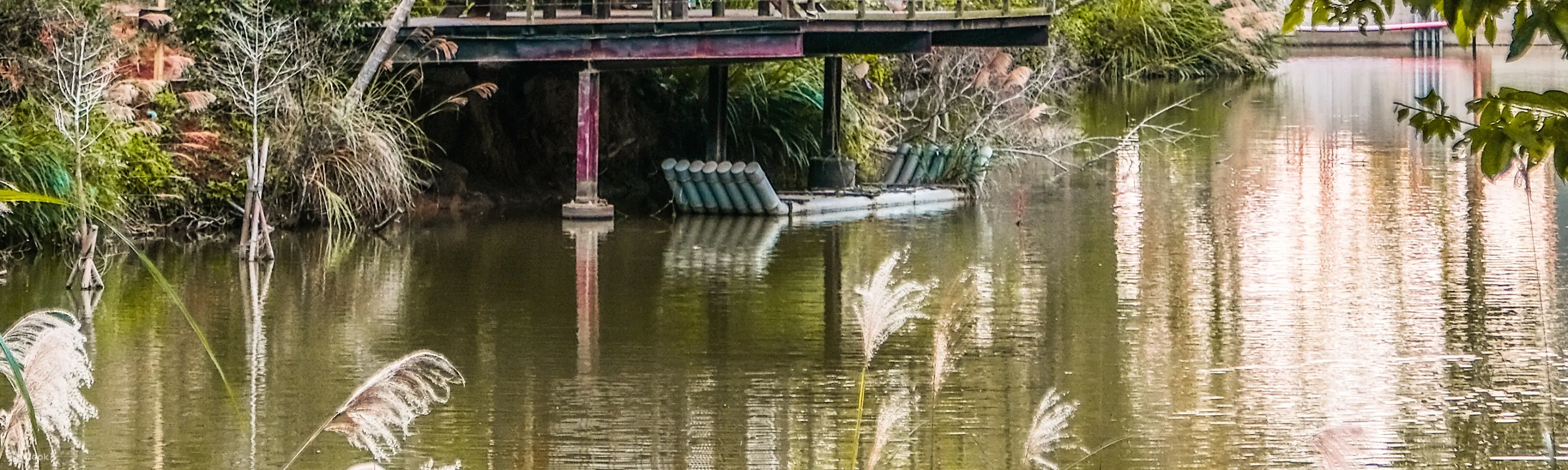 静月居