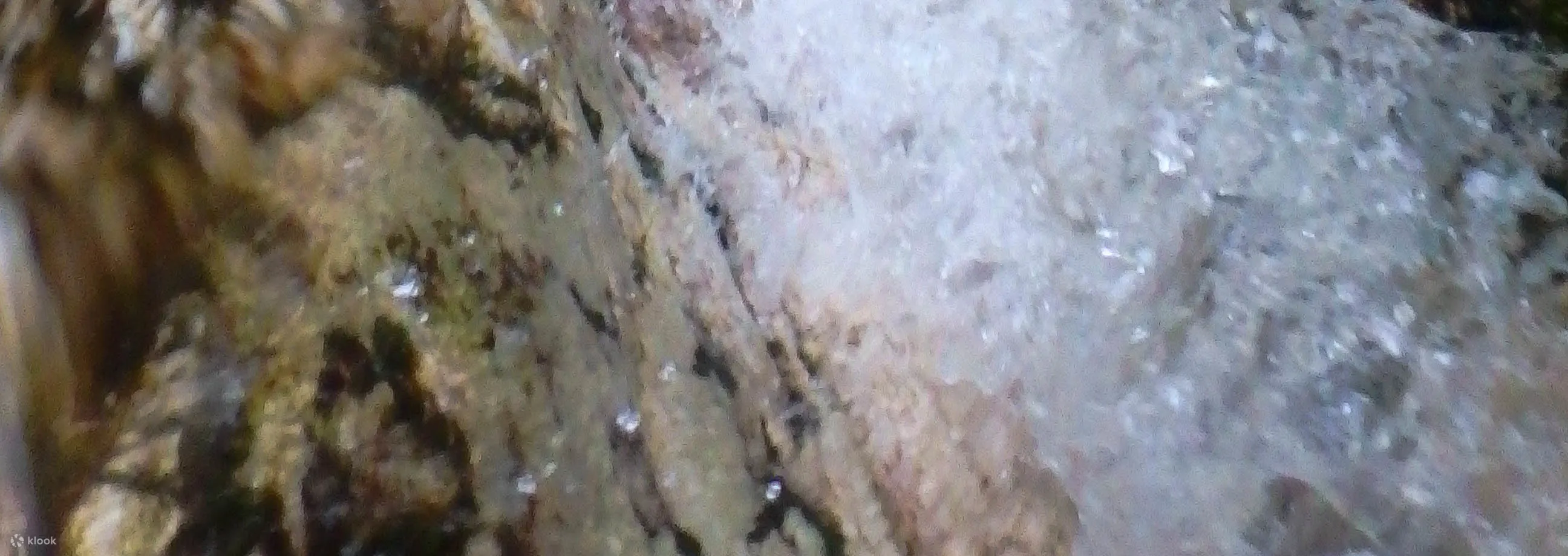 苏塞克峡谷激动人心的溪降