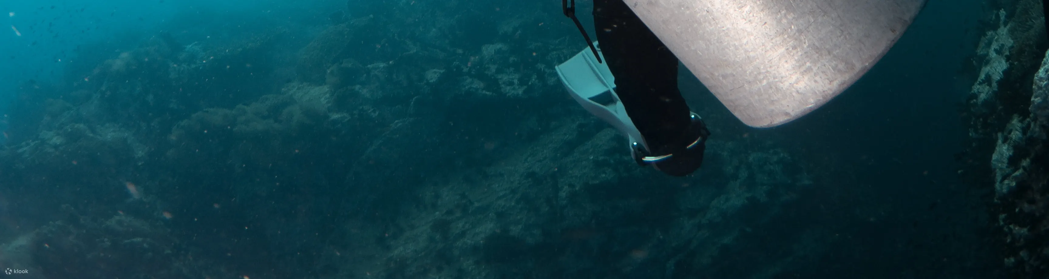PADI 高氧空气潜水员