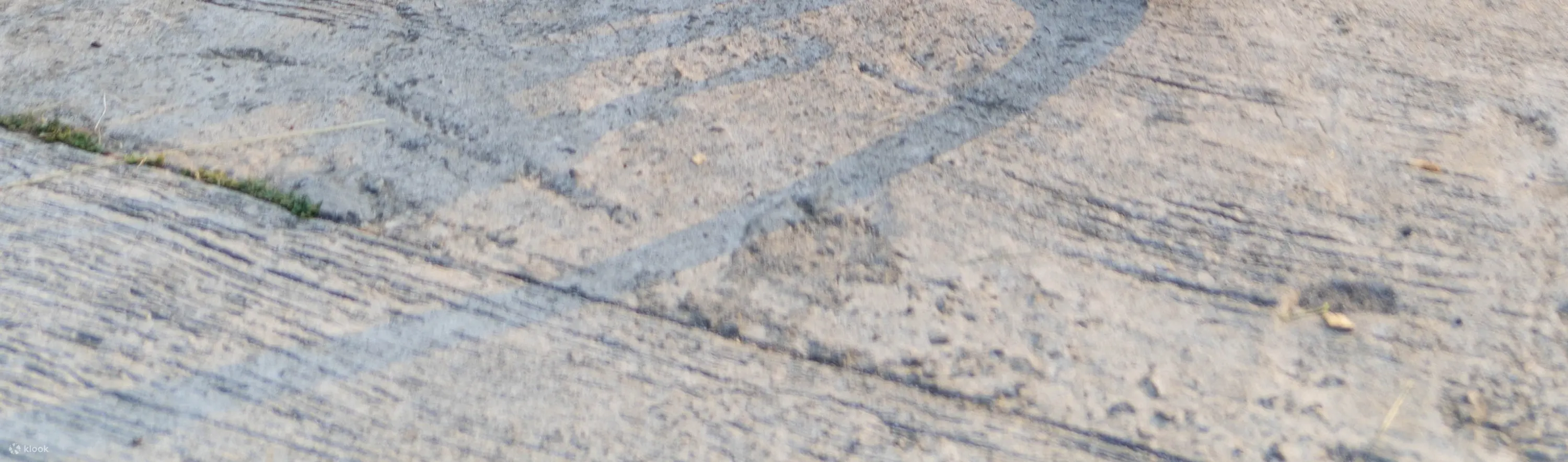 电动自行车日落