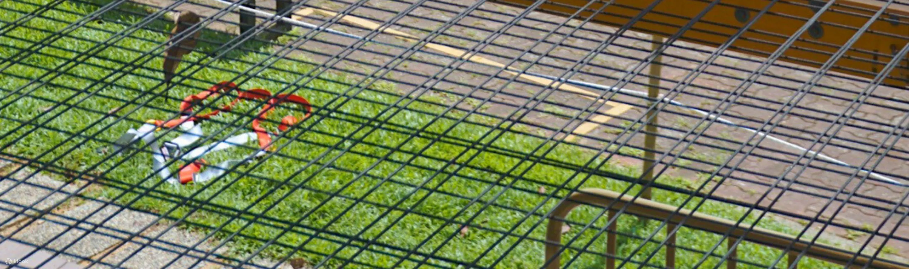 Houbii Spot Rope Course At Zoo