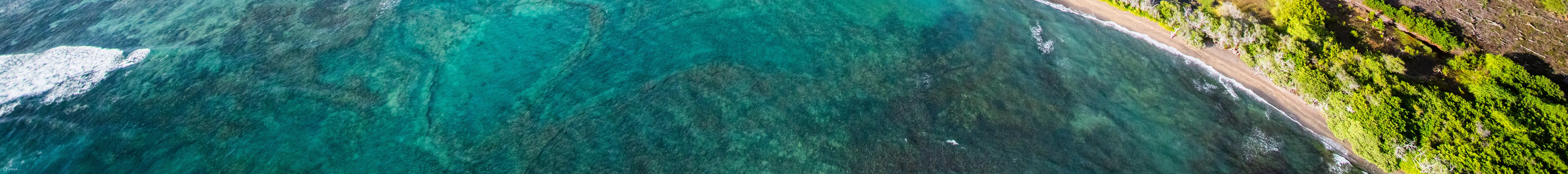 科纳海岸华拉莱火山 - 60 分钟直升机之旅 - 开门或关门