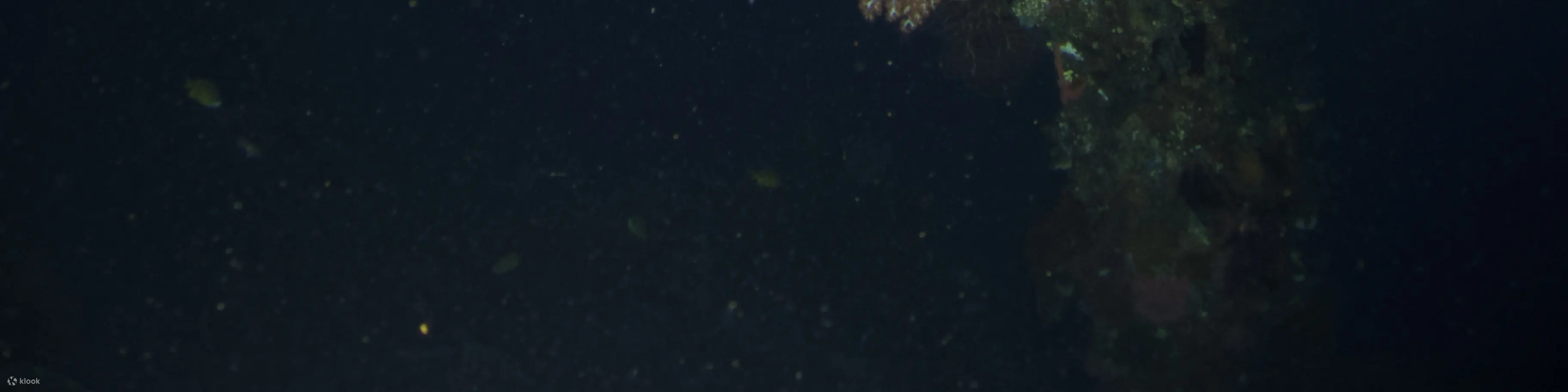 在 USAT Liberty Wreck Tulamben 进行 2 次潜水