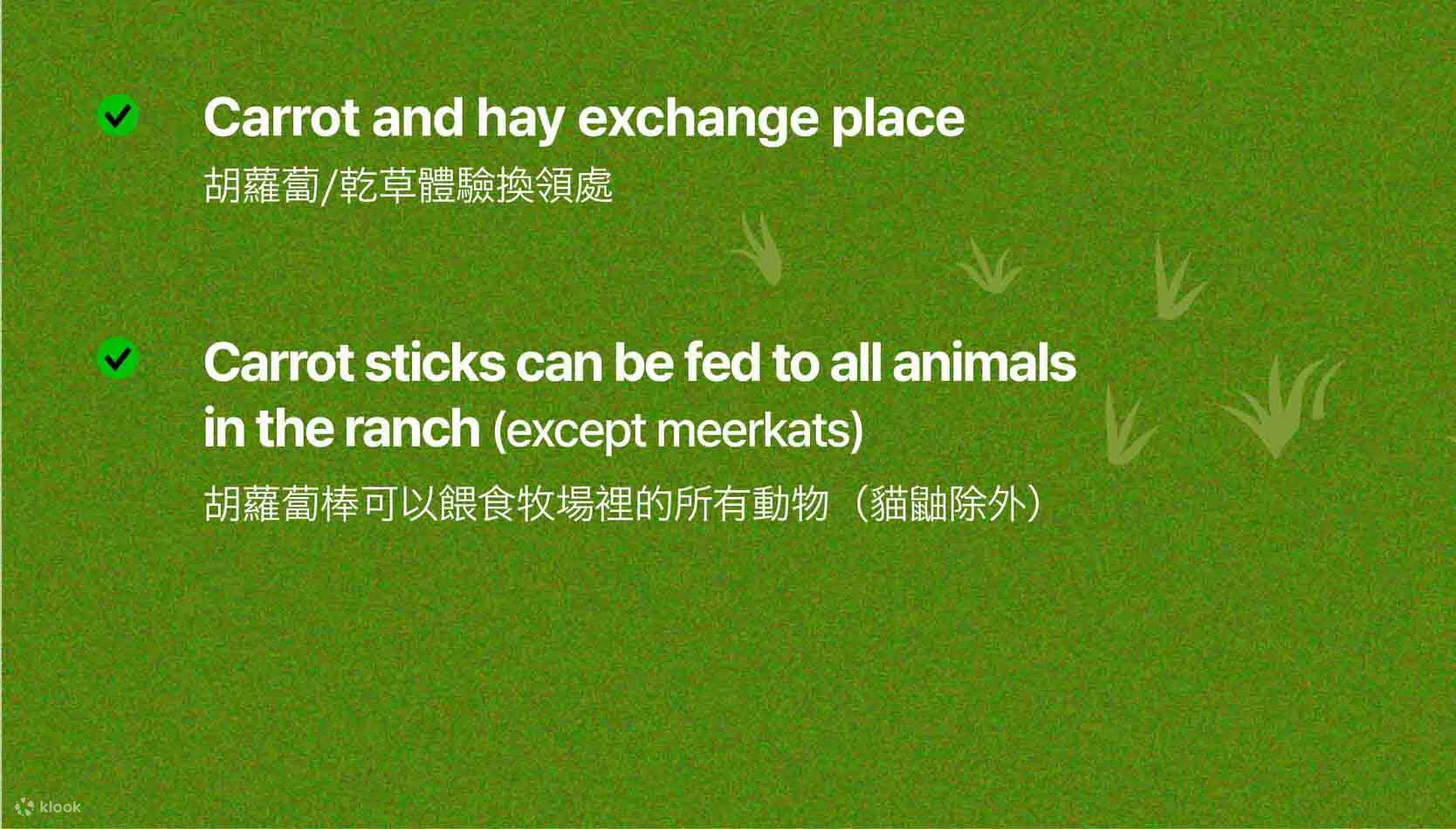 绵羊牧场 Tikcet（羊驼、绵羊、兔子） 京畿道加平