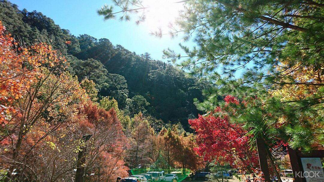 享受不一樣的秋季山景，深呼吸武陵的清新空氣