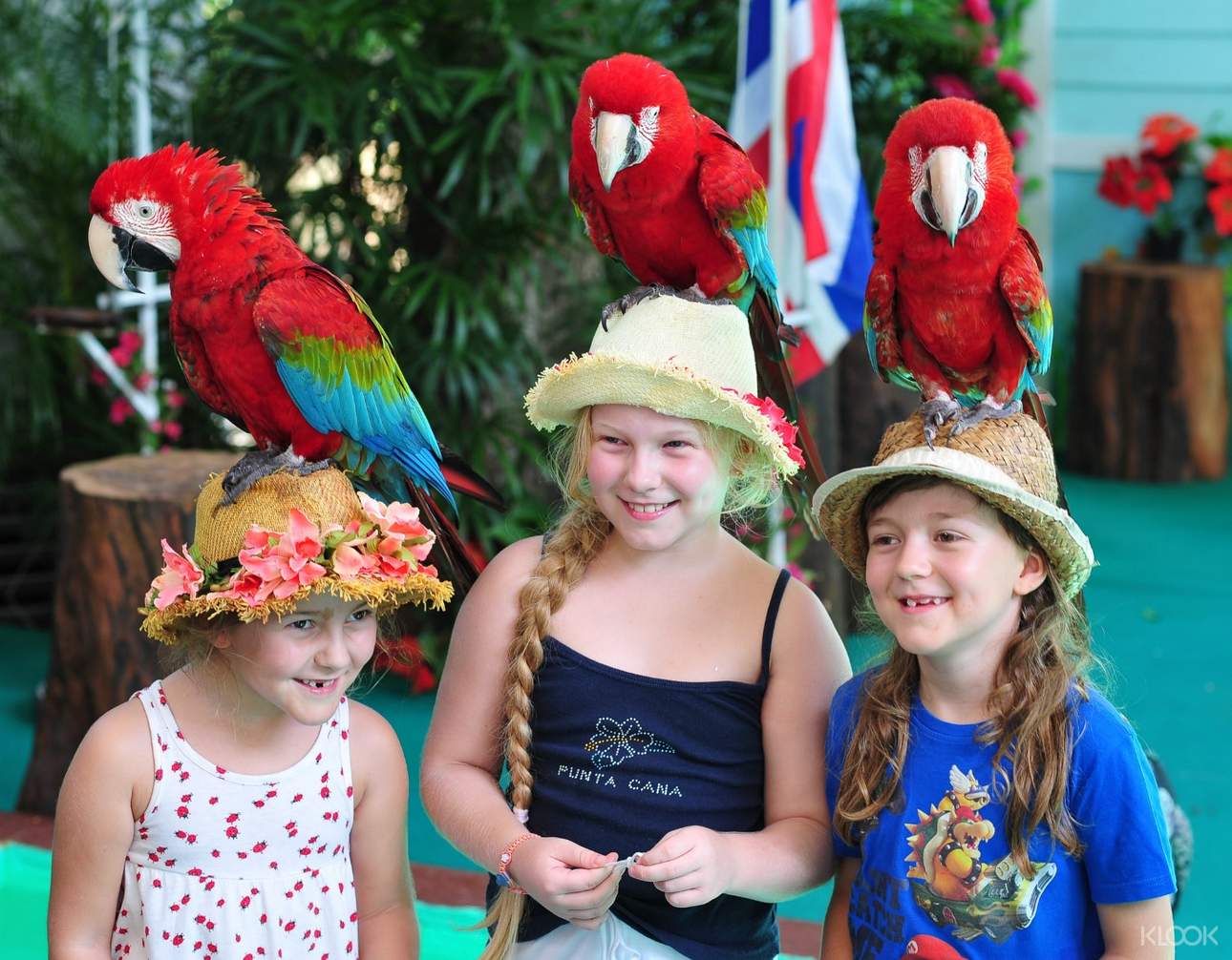 Kids will definitely enjoy meeting colorful parrots and various birds around the park