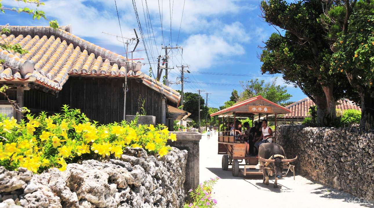 沖繩竹富島半日遊 石垣島出發 Pchome旅遊 旅遊全世界 刷卡享12期0利率 讓旅程規劃更精彩