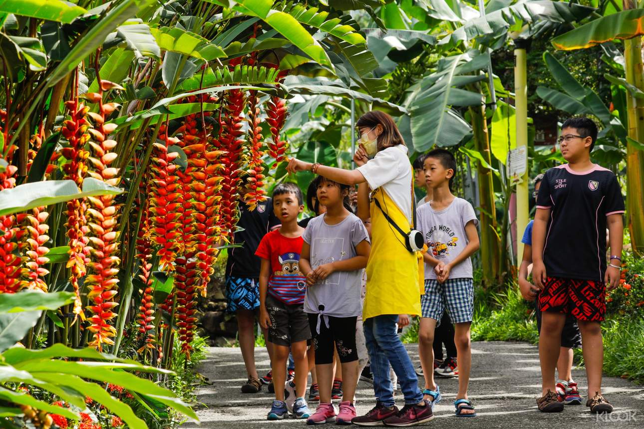 攜同孩子們一同前往，認識達110種的蕉種及多種親子活動體驗