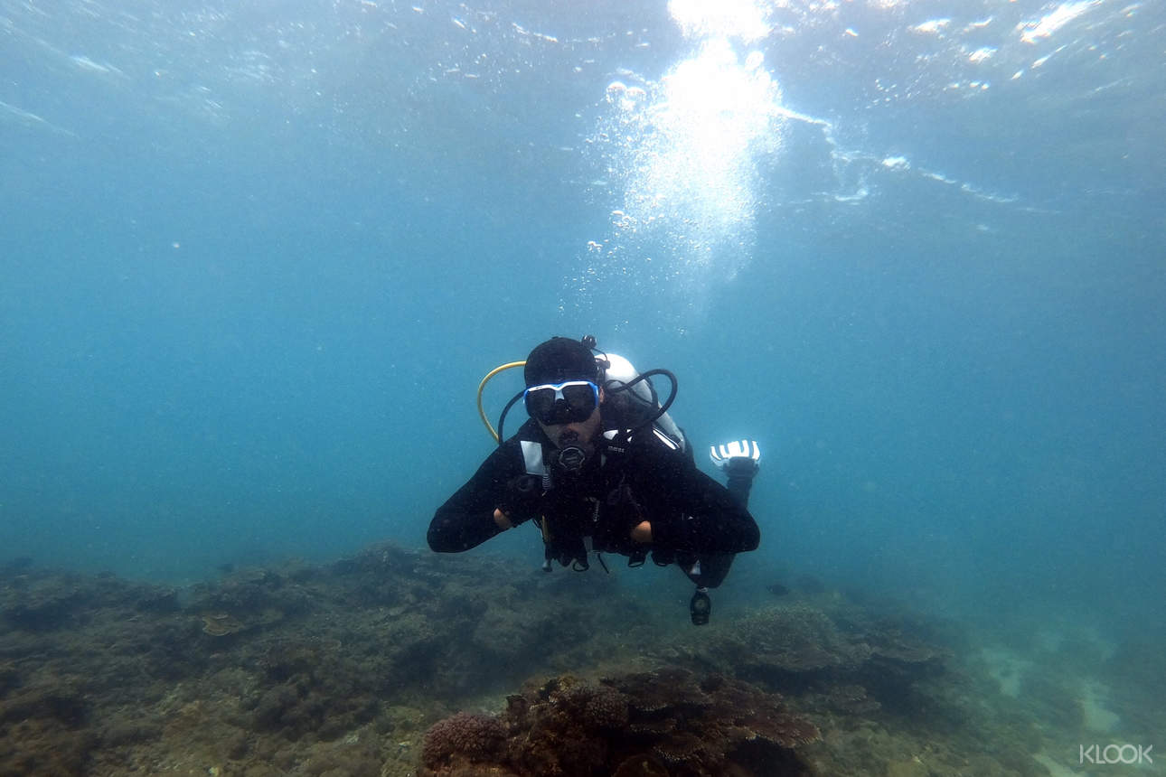 到海底潛水，感受日常生活無法體驗的奇妙旅程