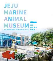Jeju Marine Animal Museum Admission Ticket